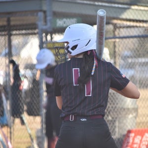 Miley Rogers mugshot