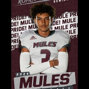 Romeoh Wontor mugshot