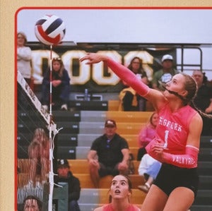 Somer Campos mugshot