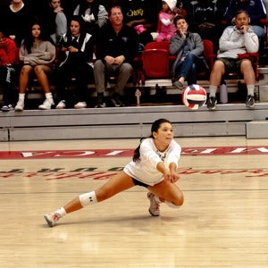 Kate Bickel