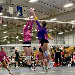 Hailey Wilmot