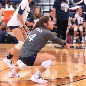 Araceli Fernandez mugshot