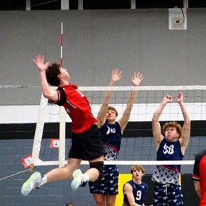 Bryson Walsh