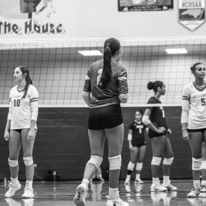 Elynoeh Cuevas-vidal