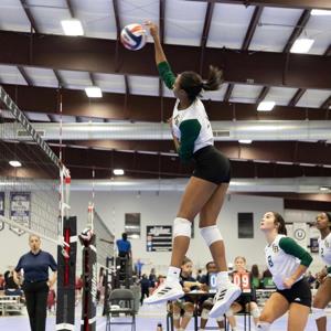 Bayleigh Minor mugshot