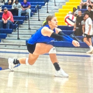 Allison J Crawley