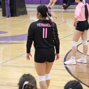 Anaya Hernandez mugshot