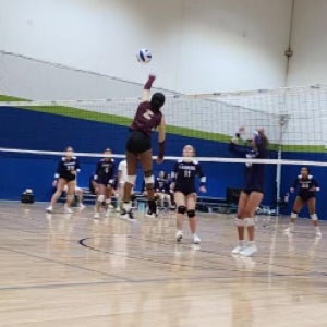 Anna Sheppard mugshot