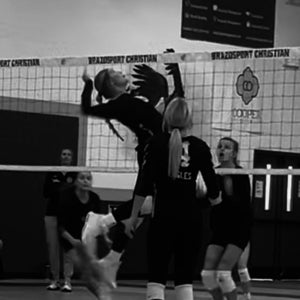 Alyssa Ashley mugshot