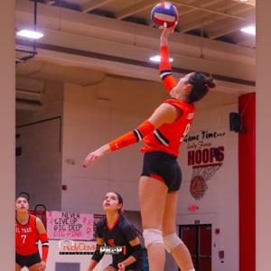 Angie Castro mugshot