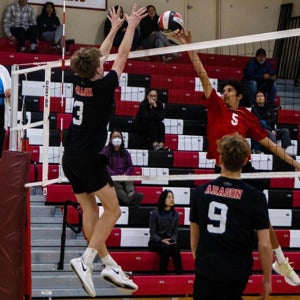 Cameron Sears mugshot