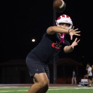 Robert Bajardi mugshot