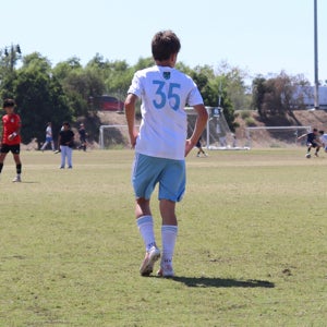 TYCE HEALY