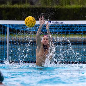 Adrian Burov mugshot