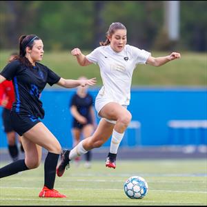 Sydney Hopper mugshot