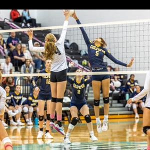 Lauren Denham mugshot