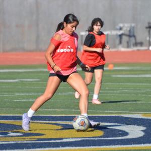 Aneesa Mejia mugshot