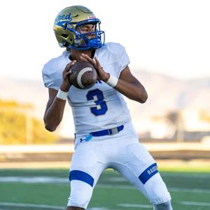 Nishaan Bajwa mugshot