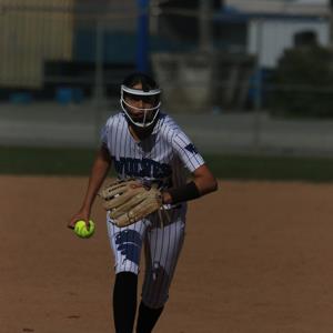 Addison Wilson mugshot