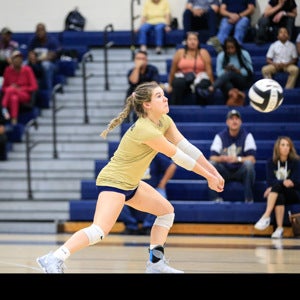 Daniella Zvonar mugshot