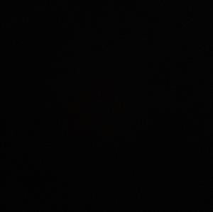 Alaya Sumler mugshot