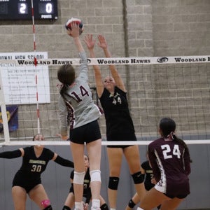 Maya Chatfield mugshot