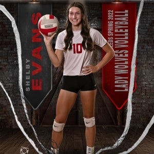 Shelby Evans mugshot