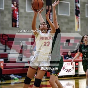 Amanda Pacheco mugshot