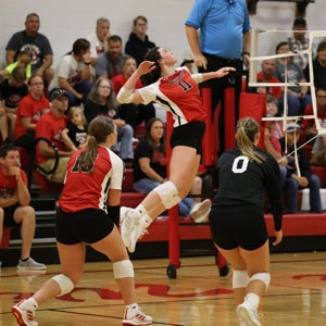 Tinsley Schwedhelm