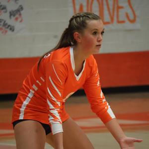 Chloe Nelson mugshot