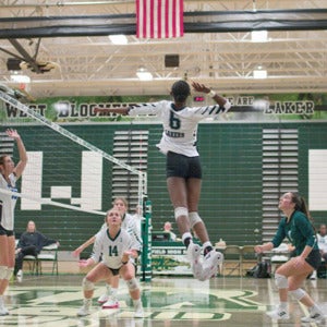 Arielle Newsome mugshot