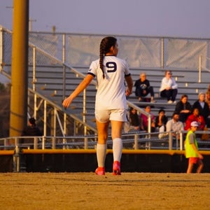 Elizabeth Barrera Meza mugshot