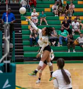 Riley McDonald mugshot