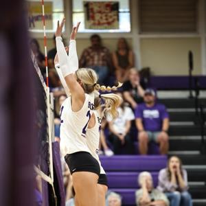 Paige Stegall