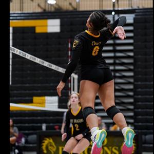 Aylin Cardona mugshot