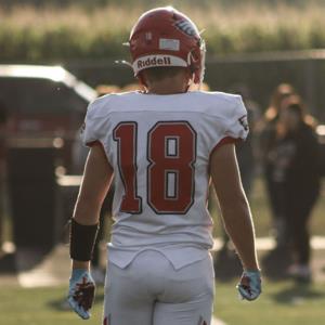 ELI WACHS
