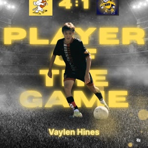 VAYLEN HINES