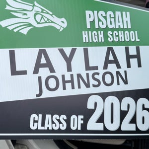 Laylah Johnson mugshot