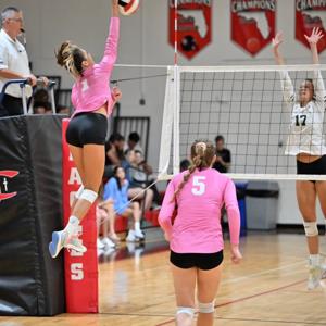 Ella Brodner mugshot