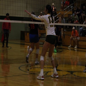 Laney Mullen mugshot