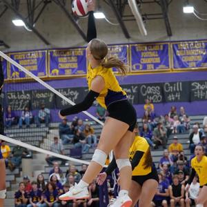 Koya Roberts mugshot