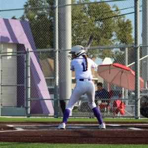 Nayeli Sanchez mugshot