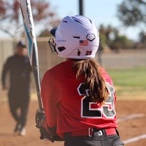 Emily Wagner mugshot