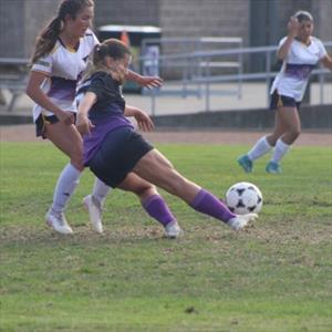 Mila Weinstein mugshot