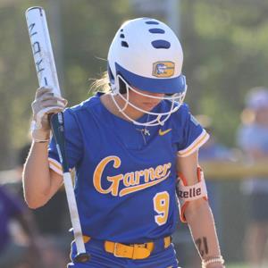 Gaby Mizelle mugshot