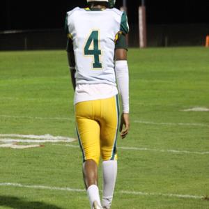 Ty Bridges