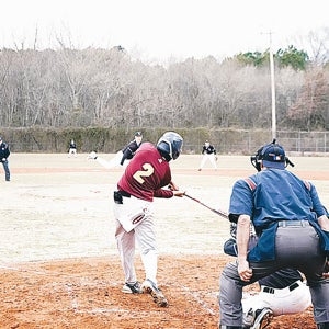 Damani Stallion mugshot