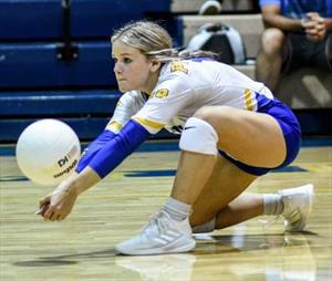 Deanna Knight mugshot