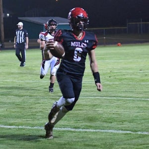 Jayden Stoddard