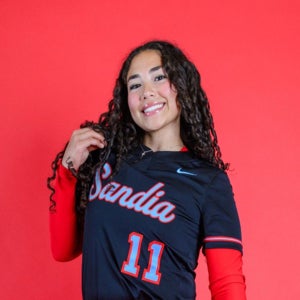 Liliana Villanueva mugshot